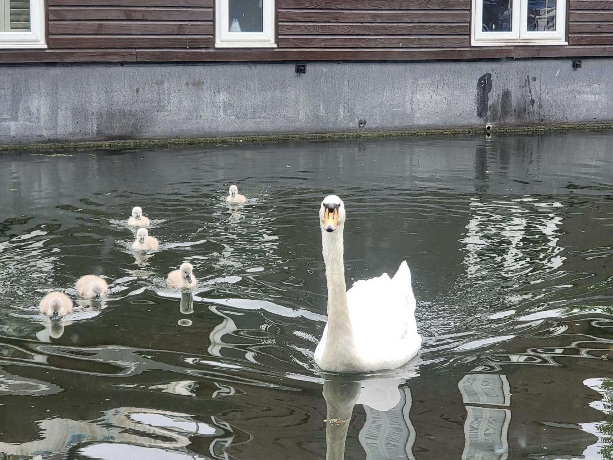 Lovely Canal Boat In Little Venice For Family & Friends 런던 외부 사진